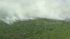 40 hectares of forest burn in Indonesia