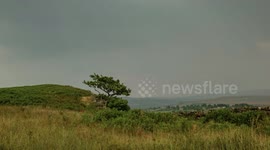 A lone tree is battered by storm clouds over the fields of North Yorkshire