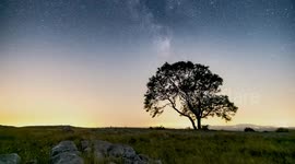 A lone tree in Malham North Yorkshire, with the Milky Way smoothly moving past it