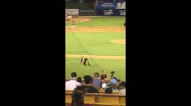 Adorable dog retrieves bat at minor league baseball game