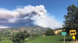 Mendocino Complex #mendocino complex fire