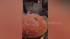 A dad got a shock when he found a very hungry caterpillar in his McDonalds - taking bites out of his Big Tasty burger