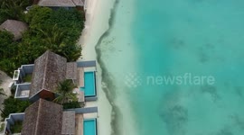 Shark dron footage video kuramathi maldives