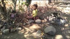 GRAND MOTHER  VICTIMS OF LOMBOK EARTHQUAKES WITH THREE STONES MONKEY AND DO NOT WANT IN EVACUATION
