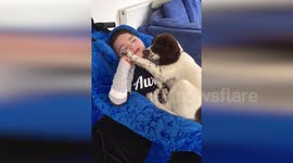 Heartwarming moment UK boy with rare condition bonds with puppy