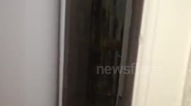 Huge House Spider in Edinburgh