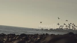 Heatwave Beach Walk Scene UK
