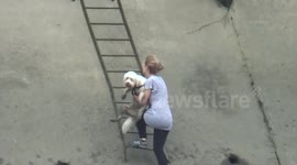 Woman rescues her dog from Thames embankment