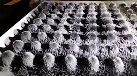 Mesmerising metal filings art installation