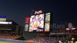 Atlanta Braves Simba Cam