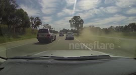 Family of ducks cause car crash