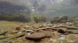 Rock pooling in Hope Cove Bigbury Bay's rocky coastline and sandy beach in devon