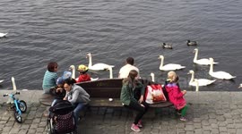 Prague Waterfront - Farmers market