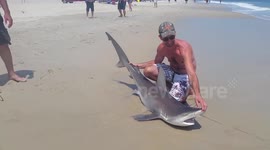 Man catches impressive Sandbar Shark on Maryland beach, USA
