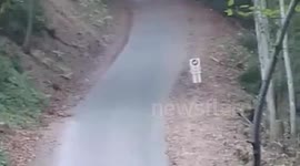 Rally Car Crash in France