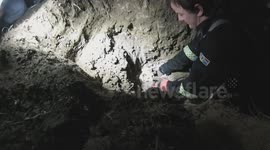 Cat rescued from storm water drain in South Africa