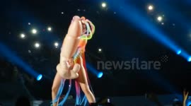 Miley Cyrus dances with a giant inflatable phallus on stage in Chile