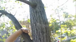 Biker saved two kittens ( GoPro Hero3 )