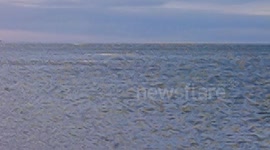 Whale Watching From The Beach At Puerto Madryn, Argentina.