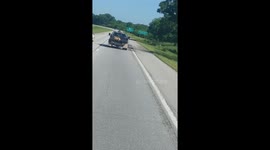 Dog on a pickup truck