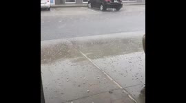 Hail