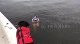 Puppy Quaker's First Swim -Guiding Eye Dog in Training