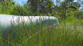 Green Canoe amongst the grasses on the beach