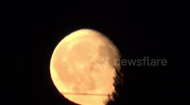 Moon Looks Blood Red