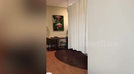 Family shocked as new parents surprise them with twins when they were expecting just one baby