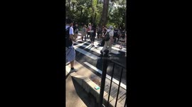 Deer using zebra crossing in Japan