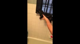 Dog swimming in air