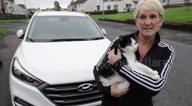 A miracle cat has survived after being trapped in a car grill for nine days and driven around 80 miles