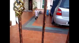 Adorable Toddler Walking with a XXXL Size Shoes