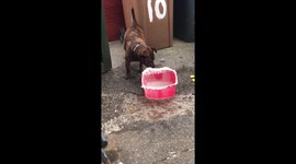 Having fun Cooling down in the heatwave