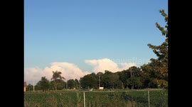 Cloud video