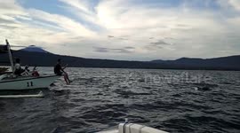 Wild Dolphins Spot in the Lovina Beach Bali