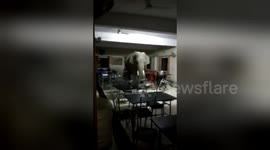 Wild elephant enters Indian army dining hall looking for food