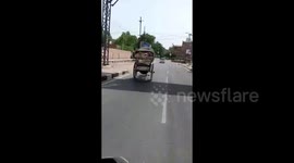 Riderless horse with carriage gallops through busy city for 2km