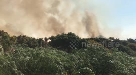 Wildfire Bray Head
