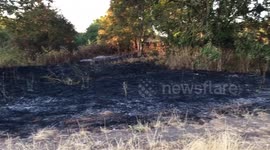 Hounslow Heath Grass Fire - Firefighters on scene as large areas of grass are burnt out