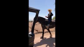 Woman rises to In My Feelings challenge ... on horseback