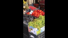 Grapethief in Corfu