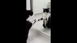 You want a piece of me?