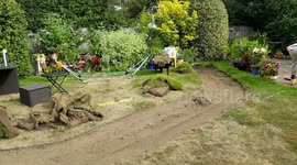 Dead Lawn Removed