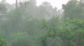 A Beautiful Rain Scene With Natural Rain Fall Sounds