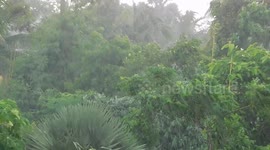 Natural  Rain Fall Scene With Clear Audio