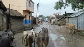 The Most Dirty Road In India Which Is Maintained By P.W.D