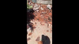 Tourist films hotel damage after deadly earthquake hits Bali