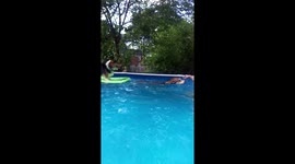 Swimming Husky pulls along a surfing Corgi