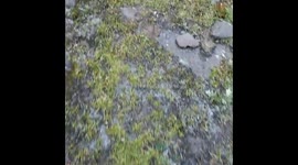 Chitta khatta lake trek AJK Pakistan